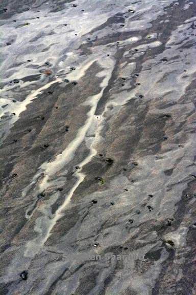 sea foam and sand 3740 3 graphic